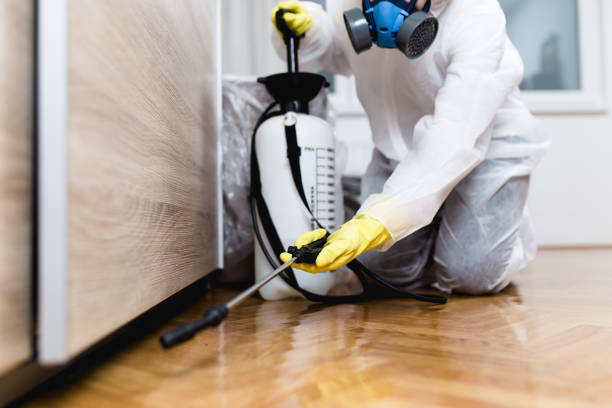 Best Bed Bug Extermination  in Paterson, NJ