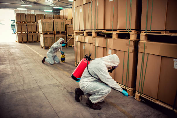 Best Termite Control Services  in Paterson, NJ