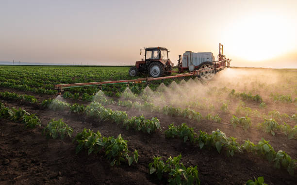 Best Mosquito Control Services  in Paterson, NJ