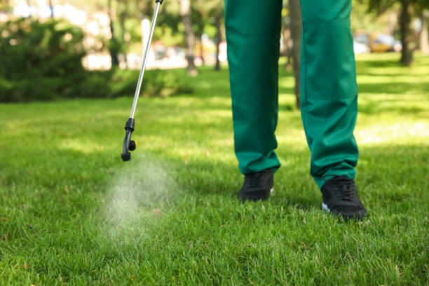 Best Best Pest Control Companies  in Paterson, NJ