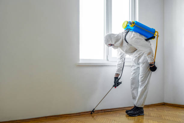 Best Best Pest Control Companies  in Paterson, NJ