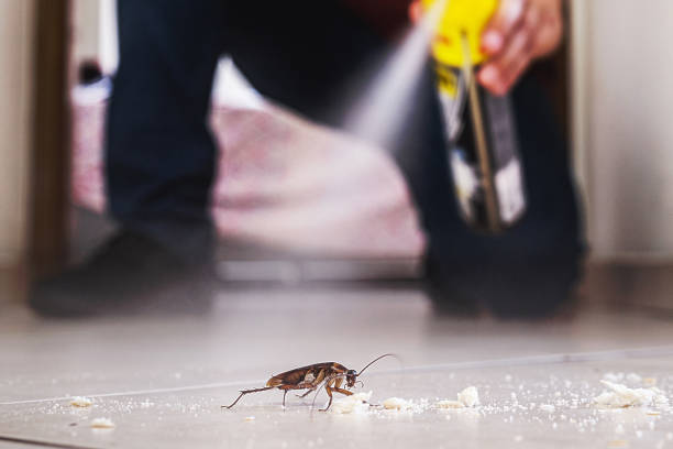 Insect Control in Paterson, NJ