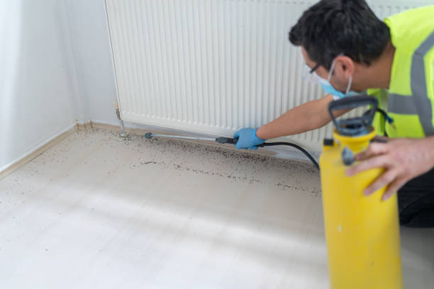 Best Mosquito Control Services  in Paterson, NJ
