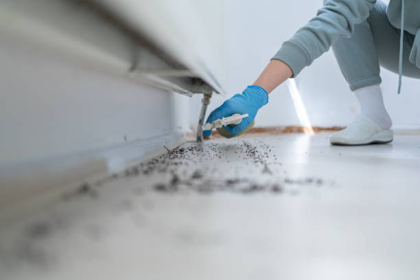 Best Residential Pest Control  in Paterson, NJ